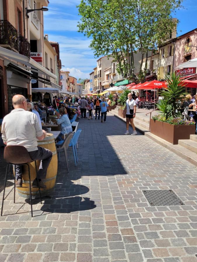 Bienvenue Dans Le Roussillon Διαμέρισμα Argelès-sur-Mer Εξωτερικό φωτογραφία